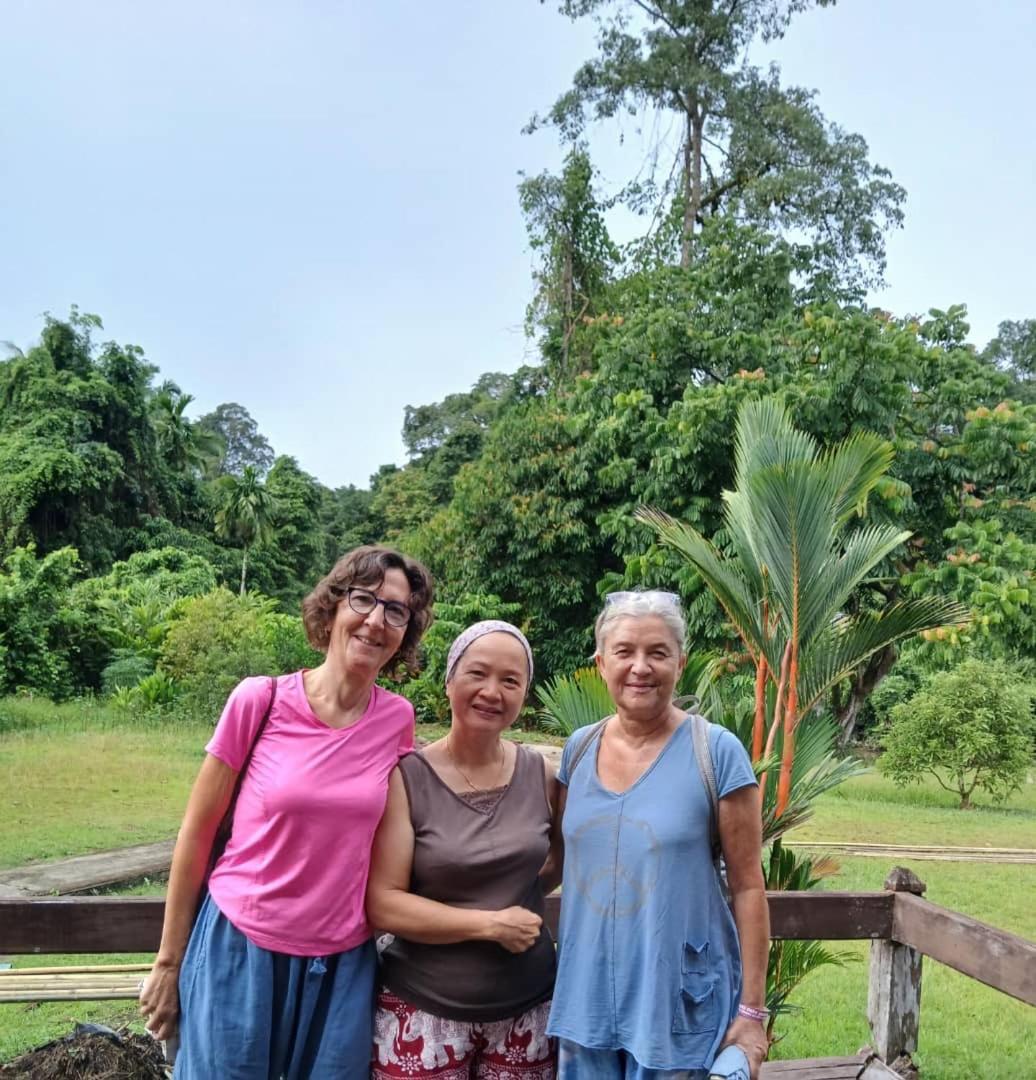 Mulu Tribal Homestay Kültér fotó