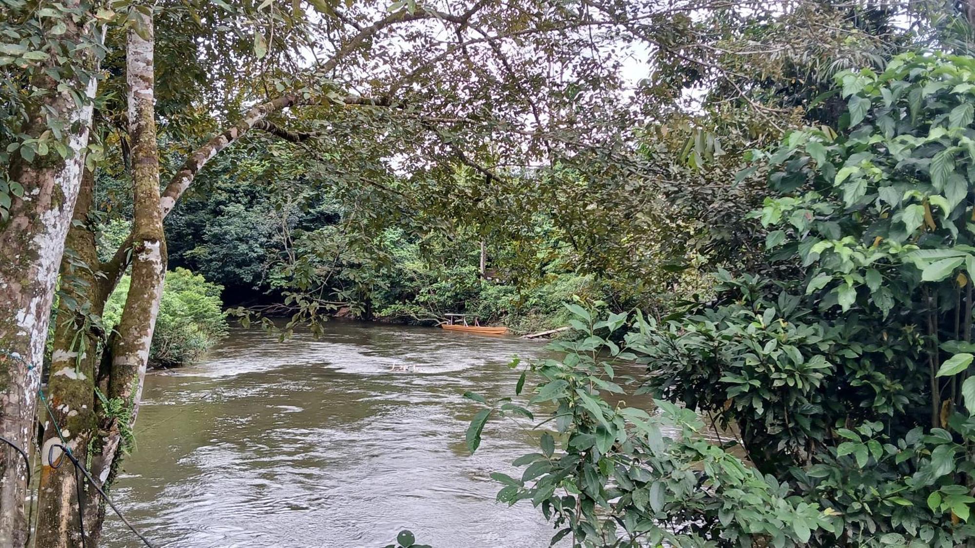 Mulu Tribal Homestay Kültér fotó